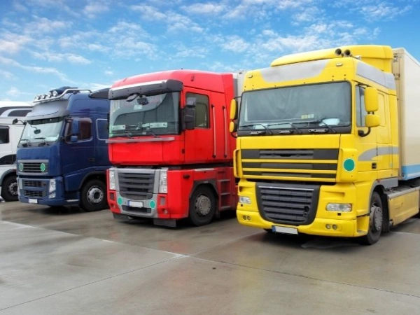 İstanbul Çayeli Nakliye